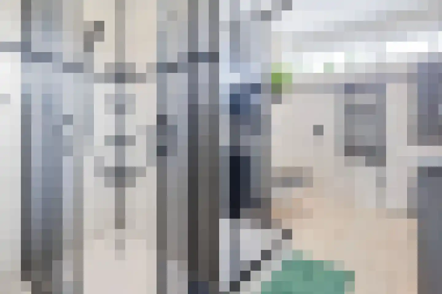 Uitloper 9 Biddinghuizen thumbnail 26