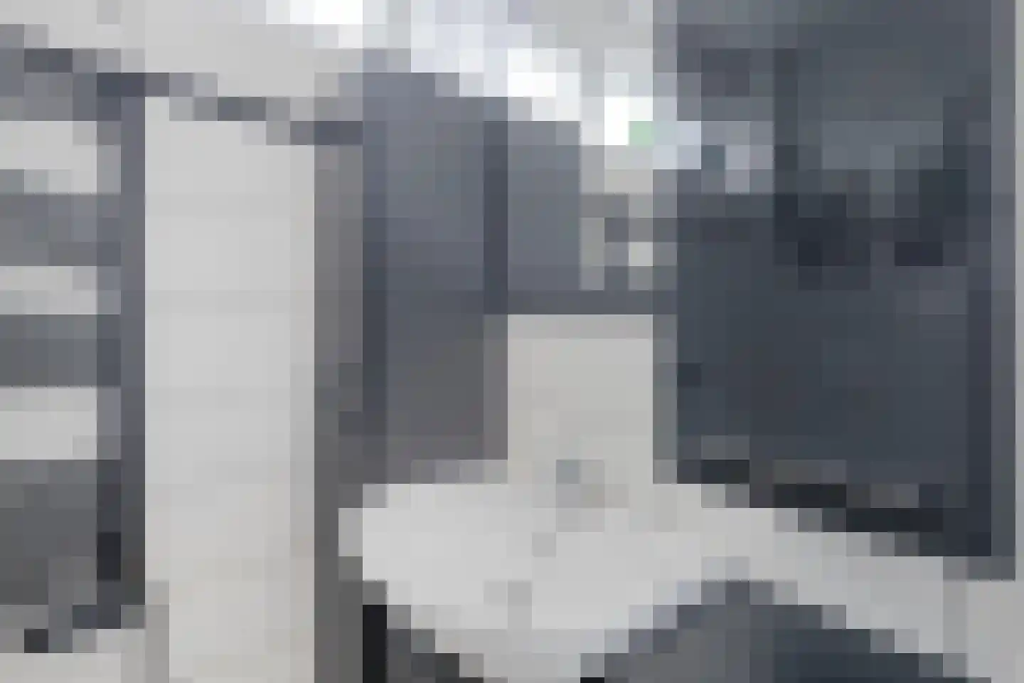 Uitloper 9 Biddinghuizen thumbnail 27