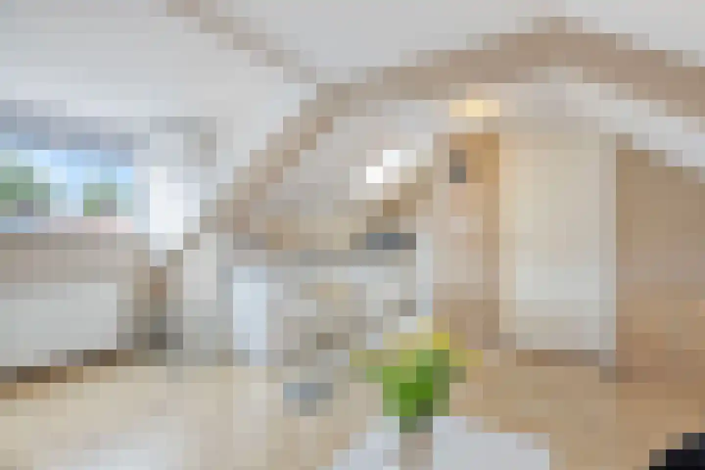 Uitloper 9 Biddinghuizen thumbnail 28