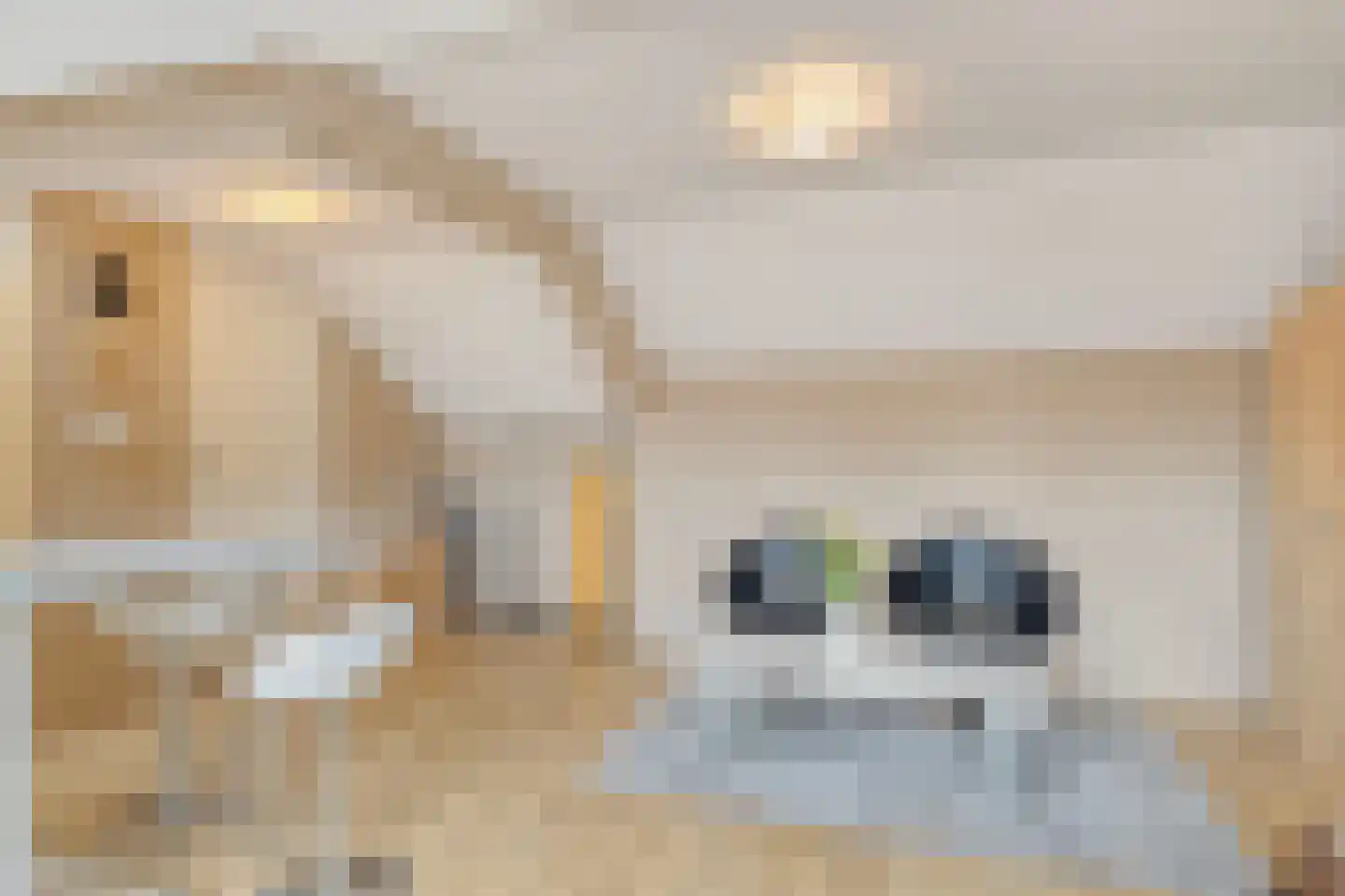 Uitloper 9 Biddinghuizen thumbnail 29