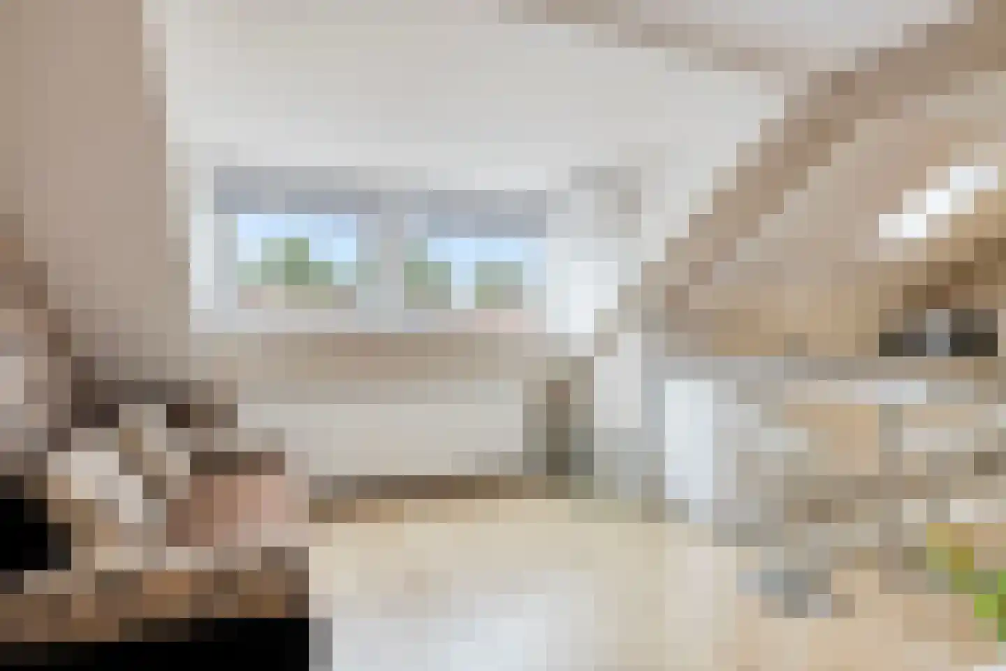 Uitloper 9 Biddinghuizen thumbnail 31