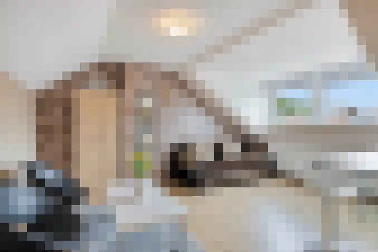 Uitloper 9 Biddinghuizen thumbnail 32