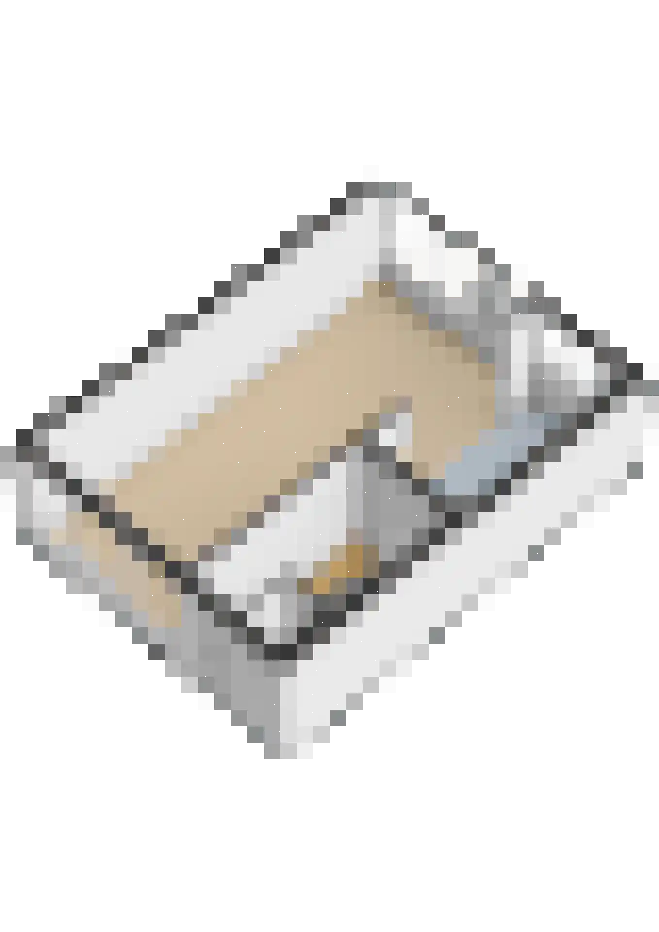 Uitloper 9 Biddinghuizen thumbnail 44