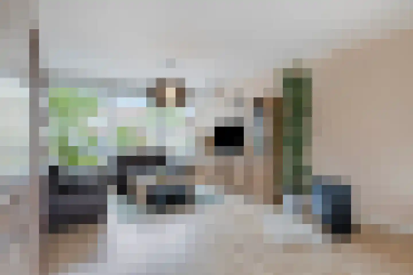 Uitloper 9 Biddinghuizen thumbnail 7