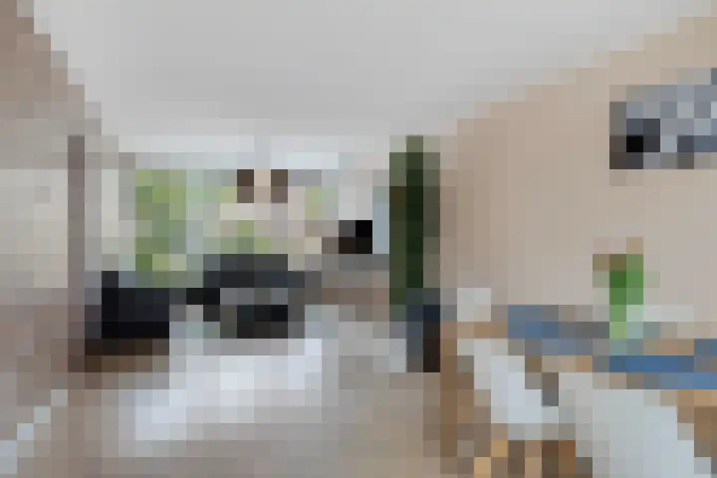 Uitloper 9 Biddinghuizen thumbnail 9