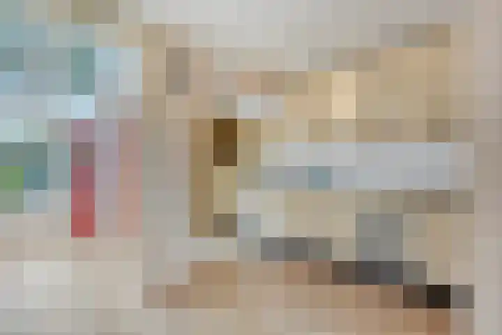 Uitoord 101 Breda thumbnail 12