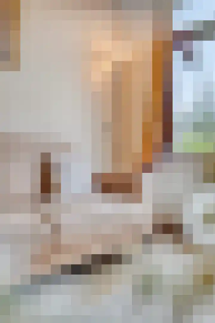 Uitoord 101 Breda thumbnail 18