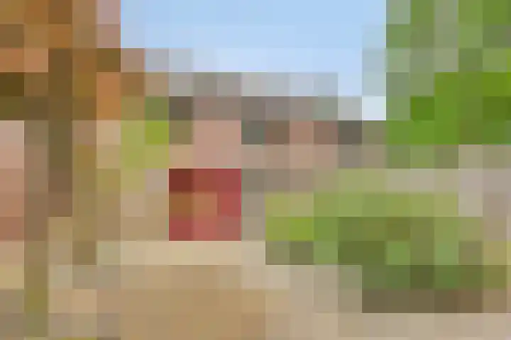 Uitoord 101 Breda thumbnail 34