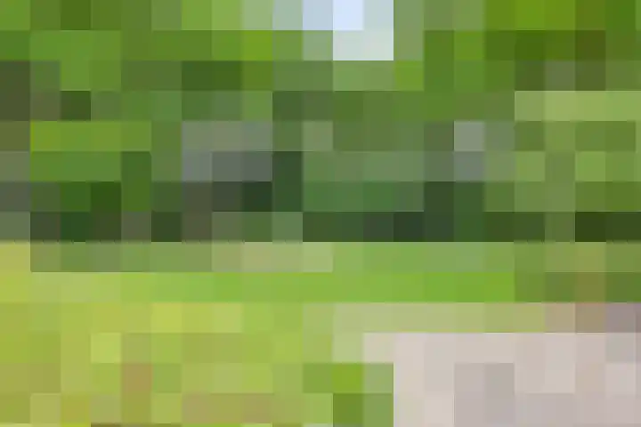 Uitoord 101 Breda thumbnail 36