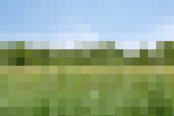 Uitoord 101 Breda thumbnail 37