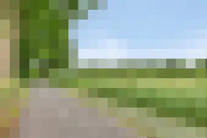Uitoord 101 Breda thumbnail 38