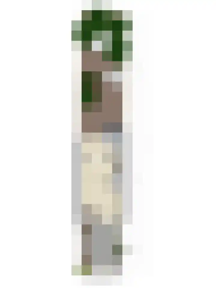 Uitoord 101 Breda thumbnail 43