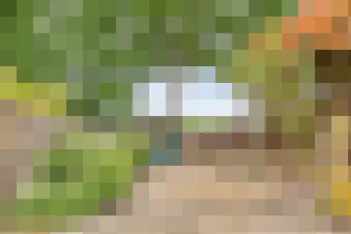 Uitoord 101 Breda thumbnail 5