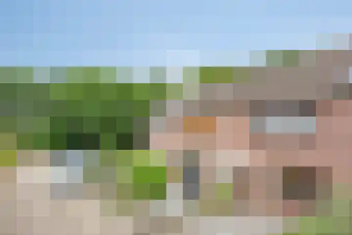 Uitoord 101 Breda thumbnail 7