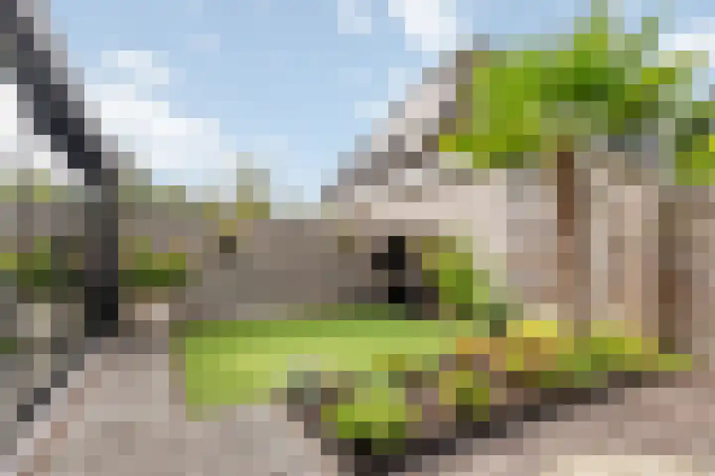 Uitoord 25 Breda thumbnail 10