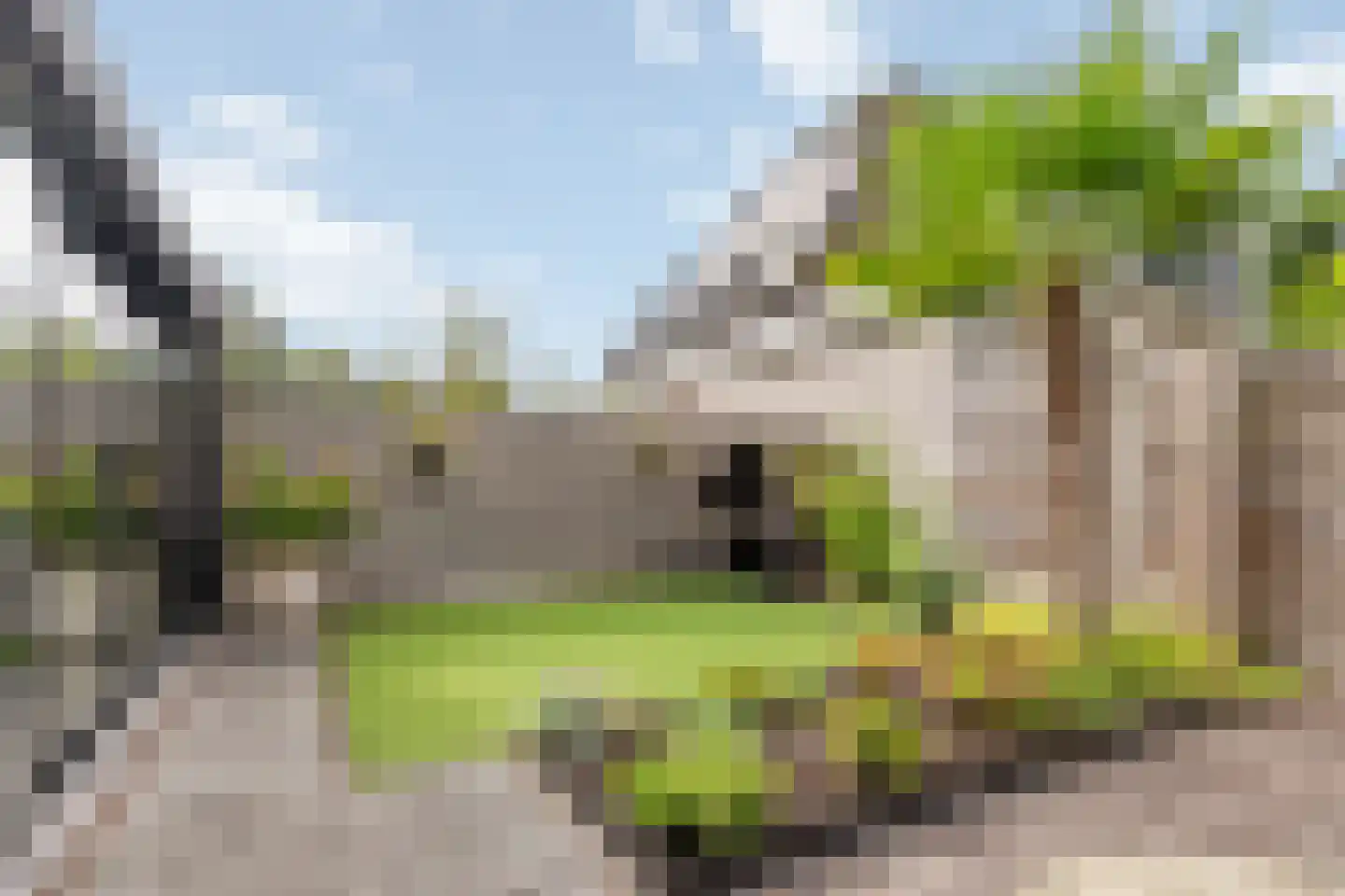 Uitoord 25 Breda thumbnail 10