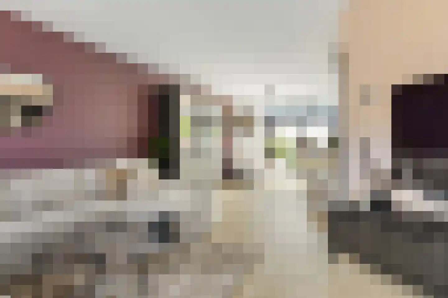 Uitoord 25 Breda thumbnail 15