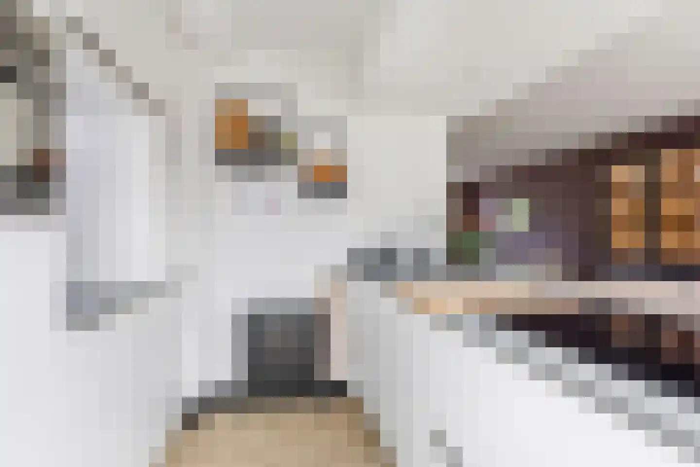 Uitoord 25 Breda thumbnail 19