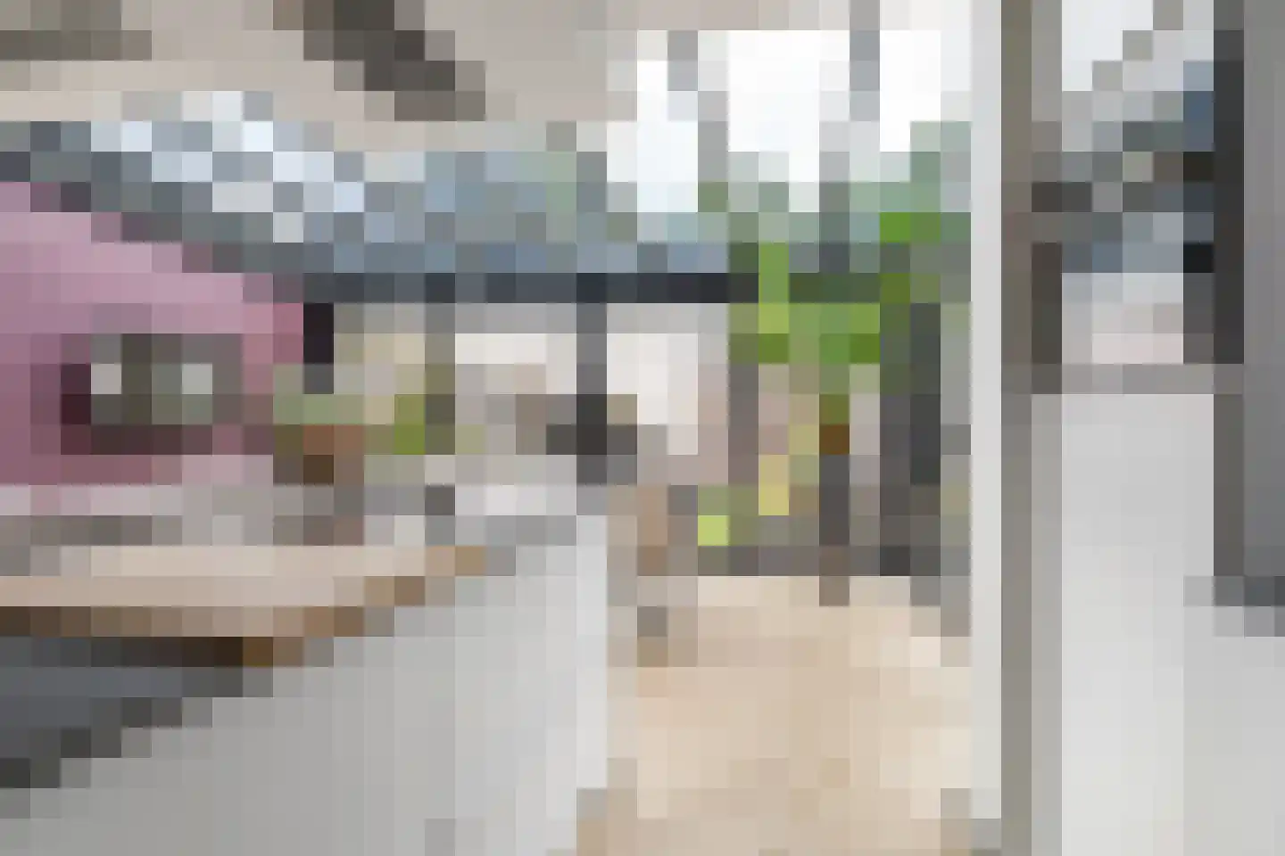 Uitoord 25 Breda thumbnail 20