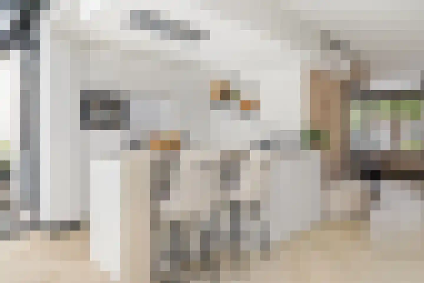 Uitoord 25 Breda thumbnail 22