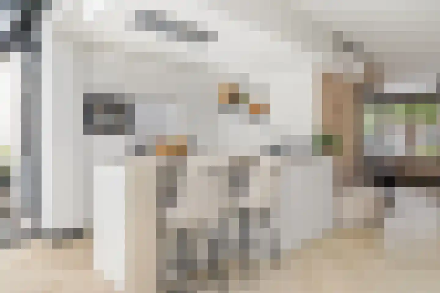 Uitoord 25 Breda thumbnail 22