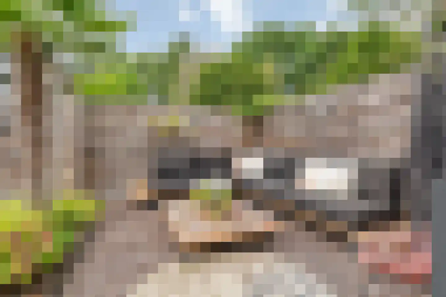 Uitoord 25 Breda thumbnail 36