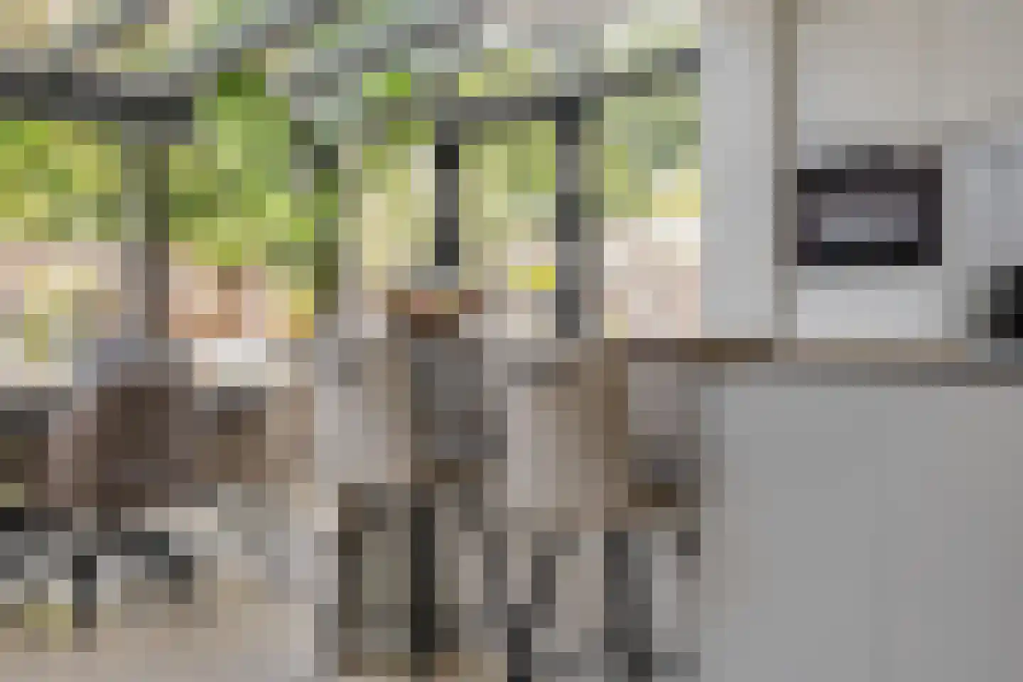 Uitoord 25 Breda thumbnail 5