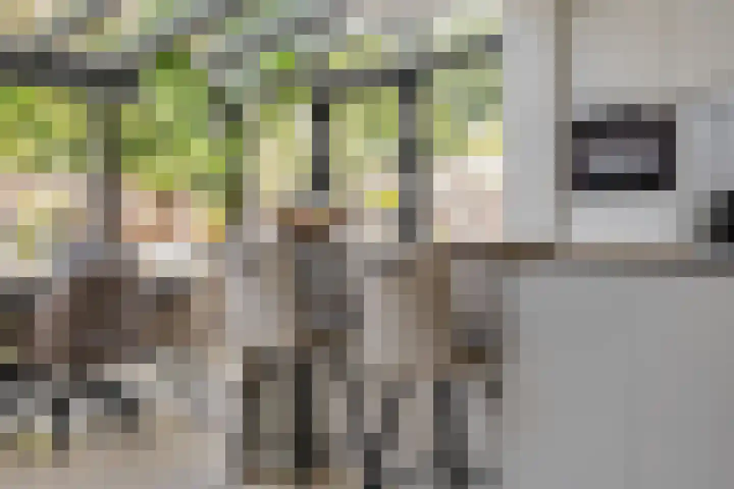 Uitoord 25 Breda thumbnail 5