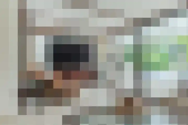 Uitoord 29 Breda thumbnail 10