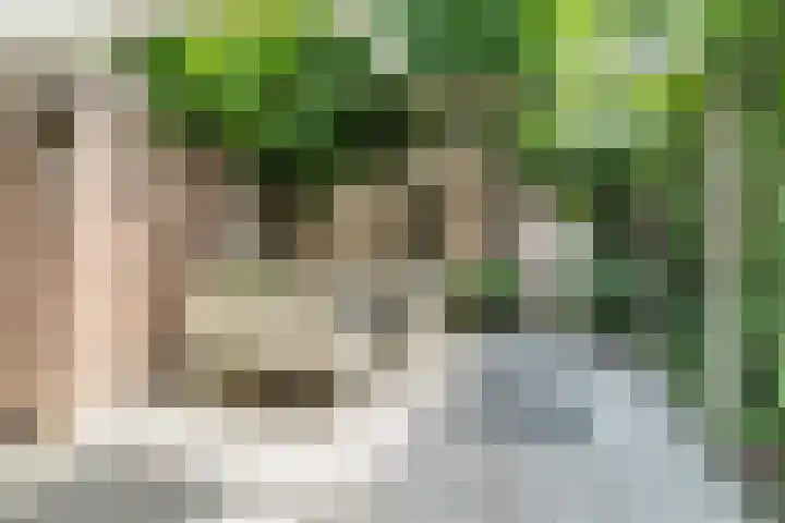Uitoord 29 Breda thumbnail 37