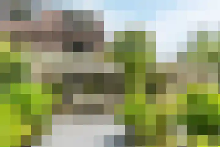 Uitoord 29 Breda thumbnail 39
