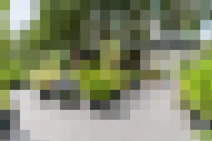 Uitoord 29 Breda thumbnail 40