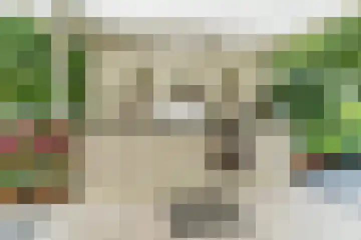 Uitoord 29 Breda thumbnail 41