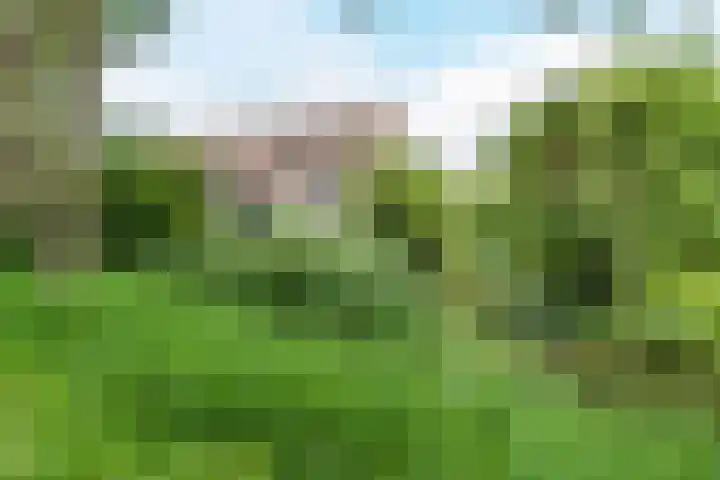 Uitoord 29 Breda thumbnail 53