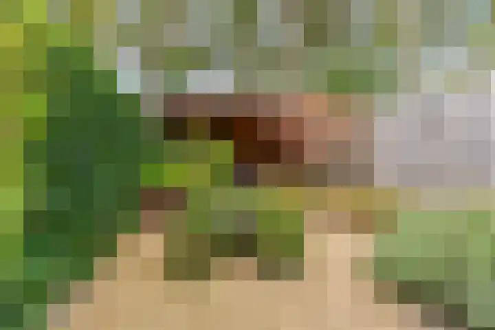 Uitoord 31 Breda thumbnail 26