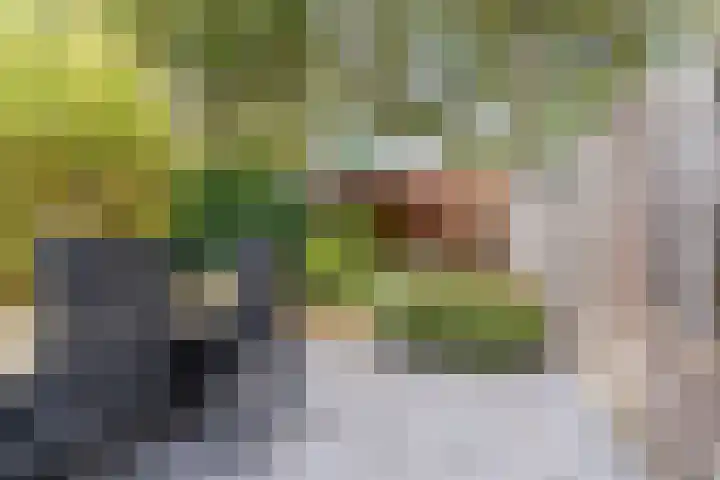 Uitoord 31 Breda thumbnail 27