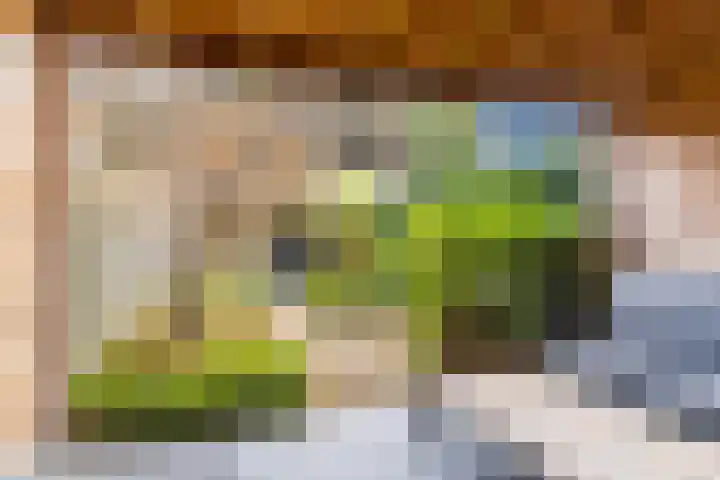 Uitoord 31 Breda thumbnail 30