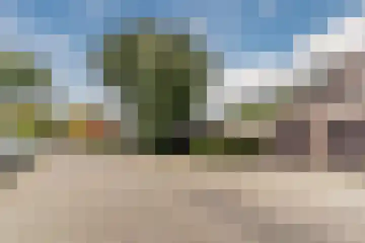 Uitoord 31 Breda thumbnail 33