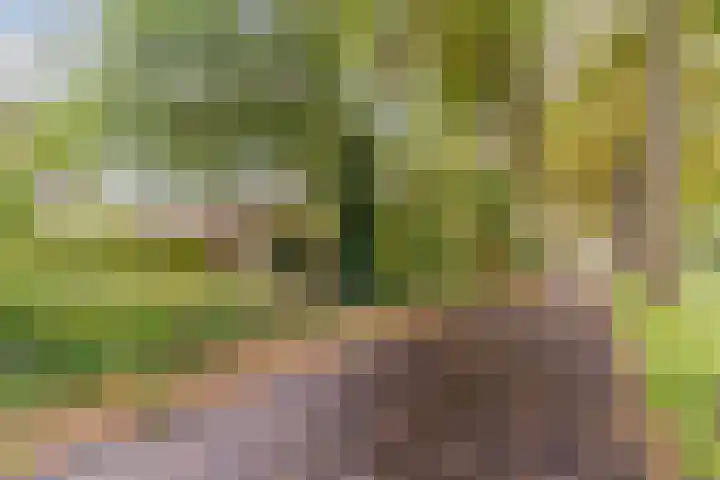 Uitoord 31 Breda thumbnail 35