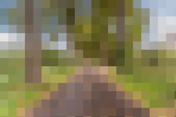 Uitoord 31 Breda thumbnail 36