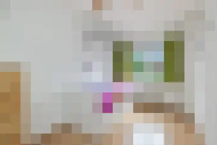 Uitoord 33 Breda thumbnail 24
