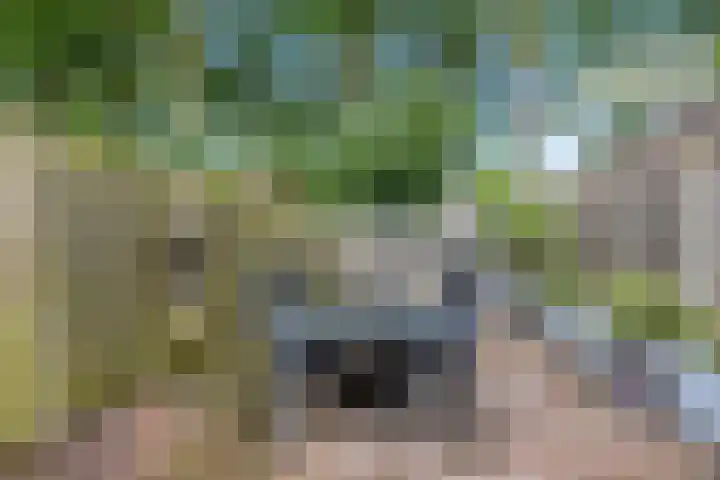 Uitoord 33 Breda thumbnail 36