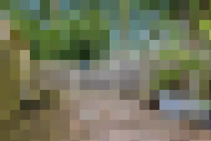 Uitoord 33 Breda thumbnail 37