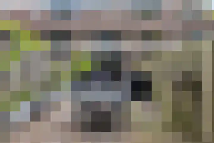 Uitoord 33 Breda thumbnail 40