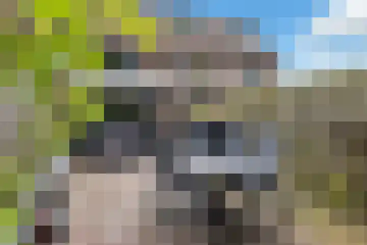 Uitoord 33 Breda thumbnail 41