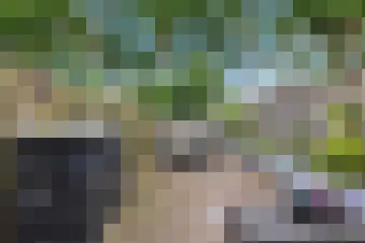 Uitoord 33 Breda thumbnail 5