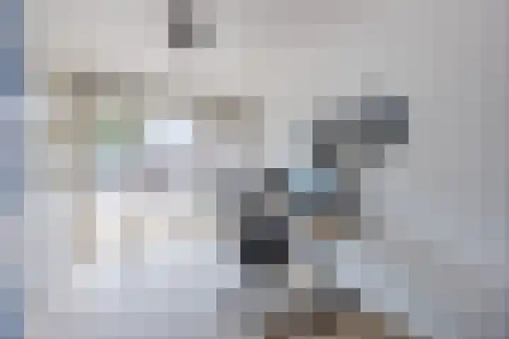Uitoord 41 Breda thumbnail 10