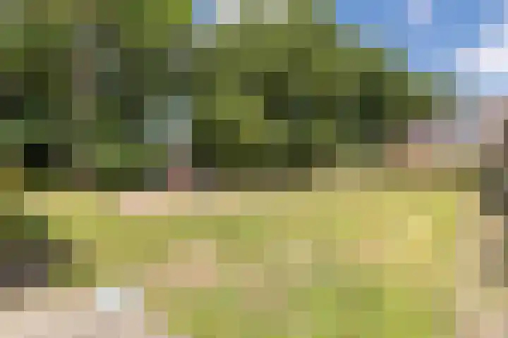 Uitoord 41 Breda thumbnail 28