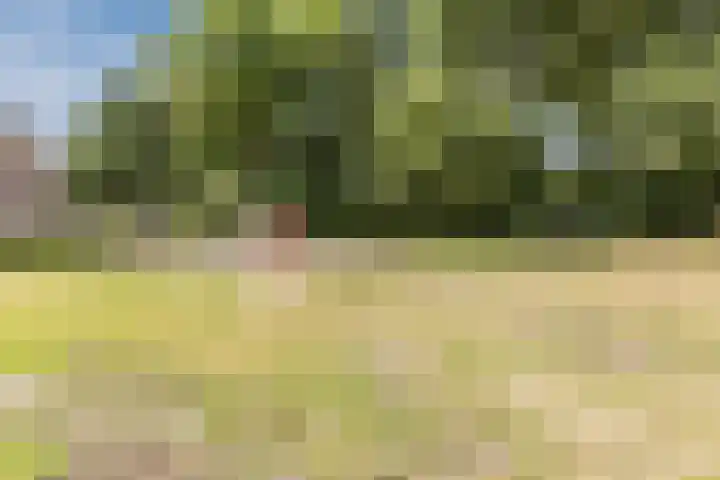 Uitoord 41 Breda thumbnail 29