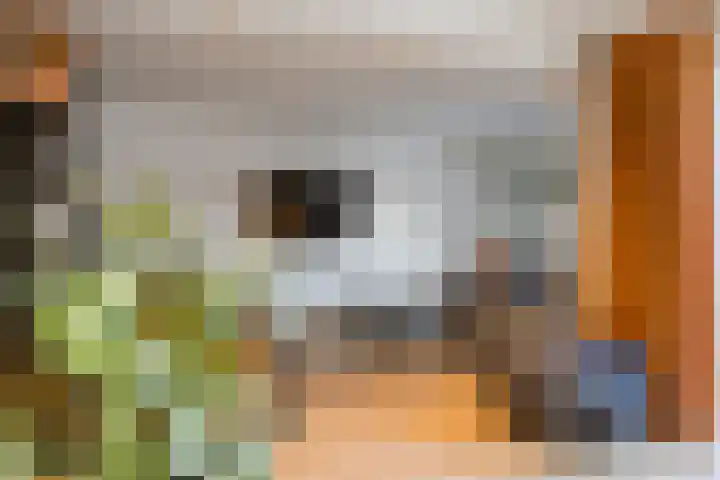 Uitoord 41 Breda thumbnail 5